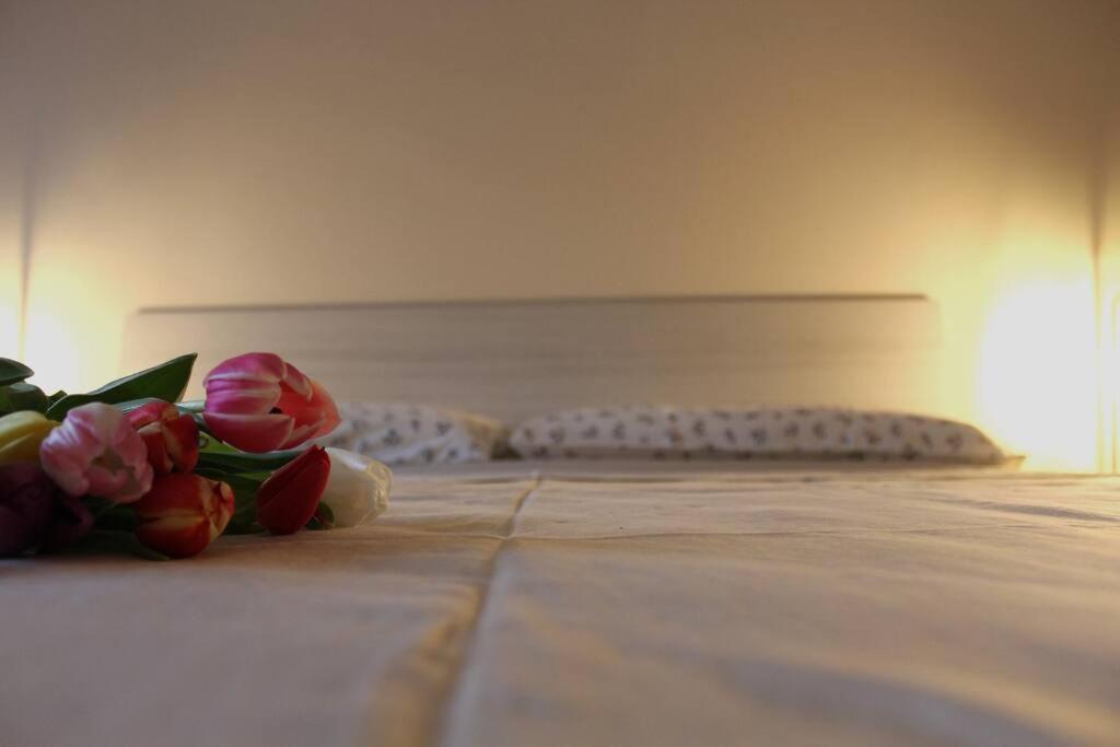 Venere Apartment Bergamo Buitenkant foto